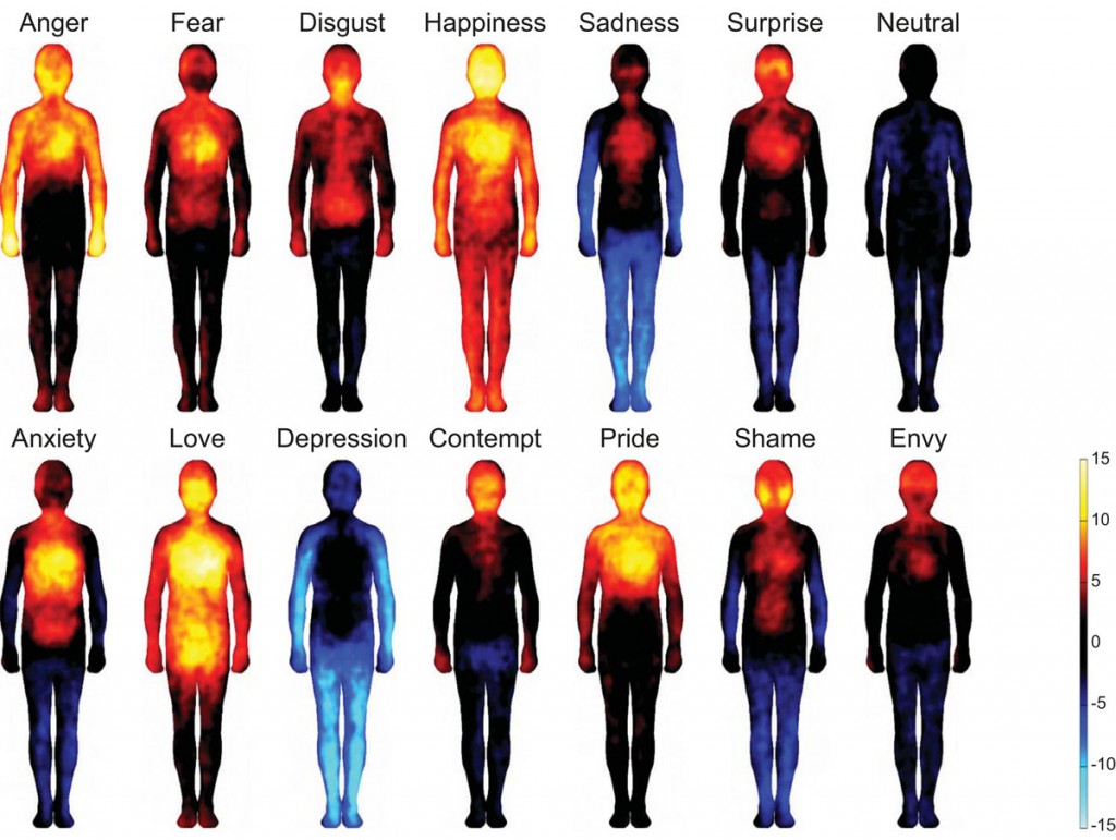 Where Do You Feel That Emotion In Your Body Raised Vibration