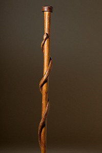 snake stick